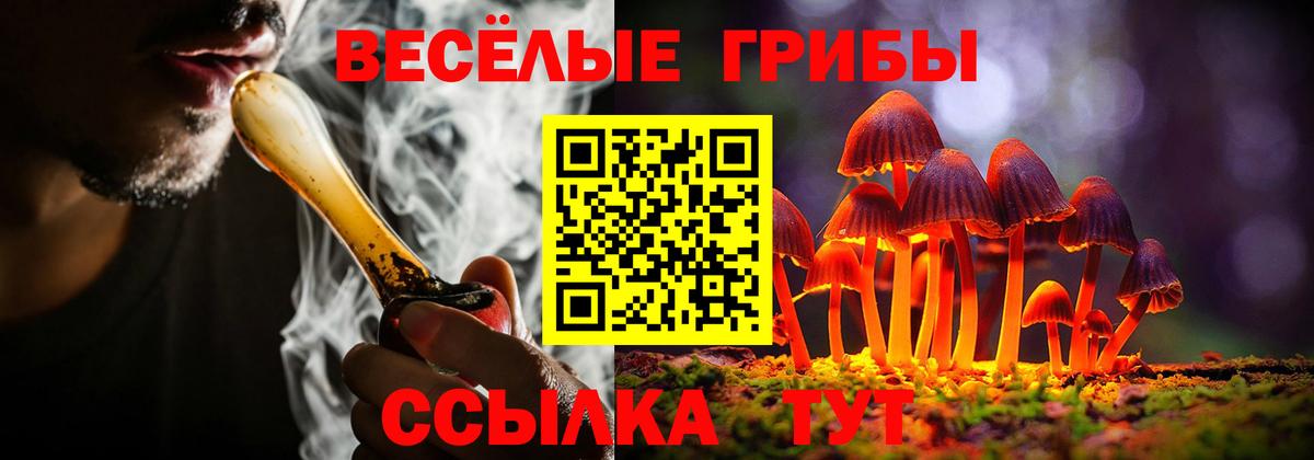 Юрга  Псилоцибиновые грибы Psilocybine cubensis  Вход с VPN 